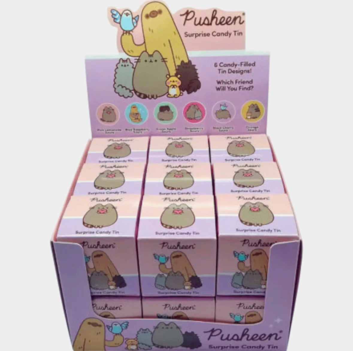 Pusheen Surprise Candy Tin Collectible Cat Candy Box Mystery Tin 1 pc