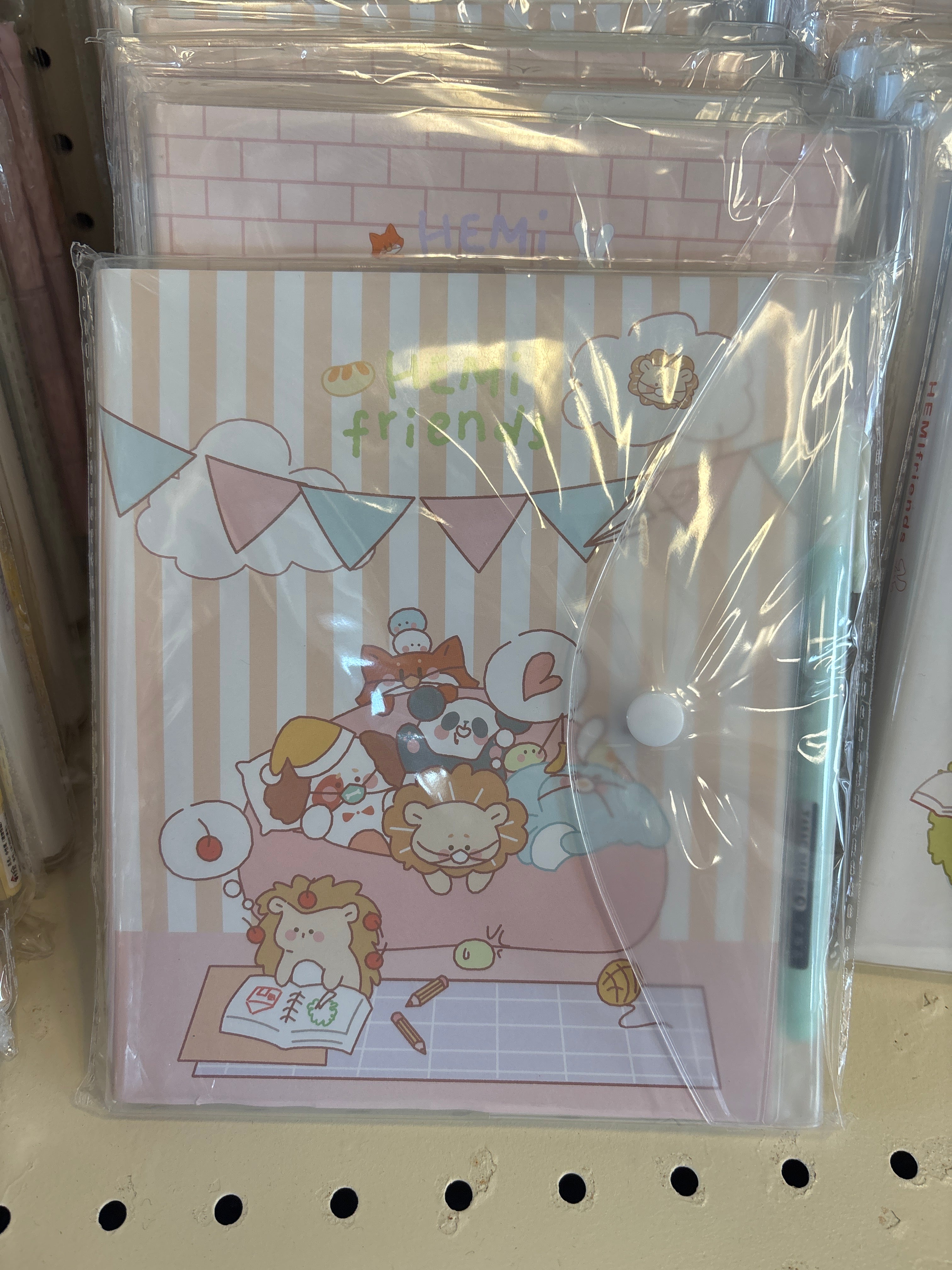 Cute Notebook with Pen