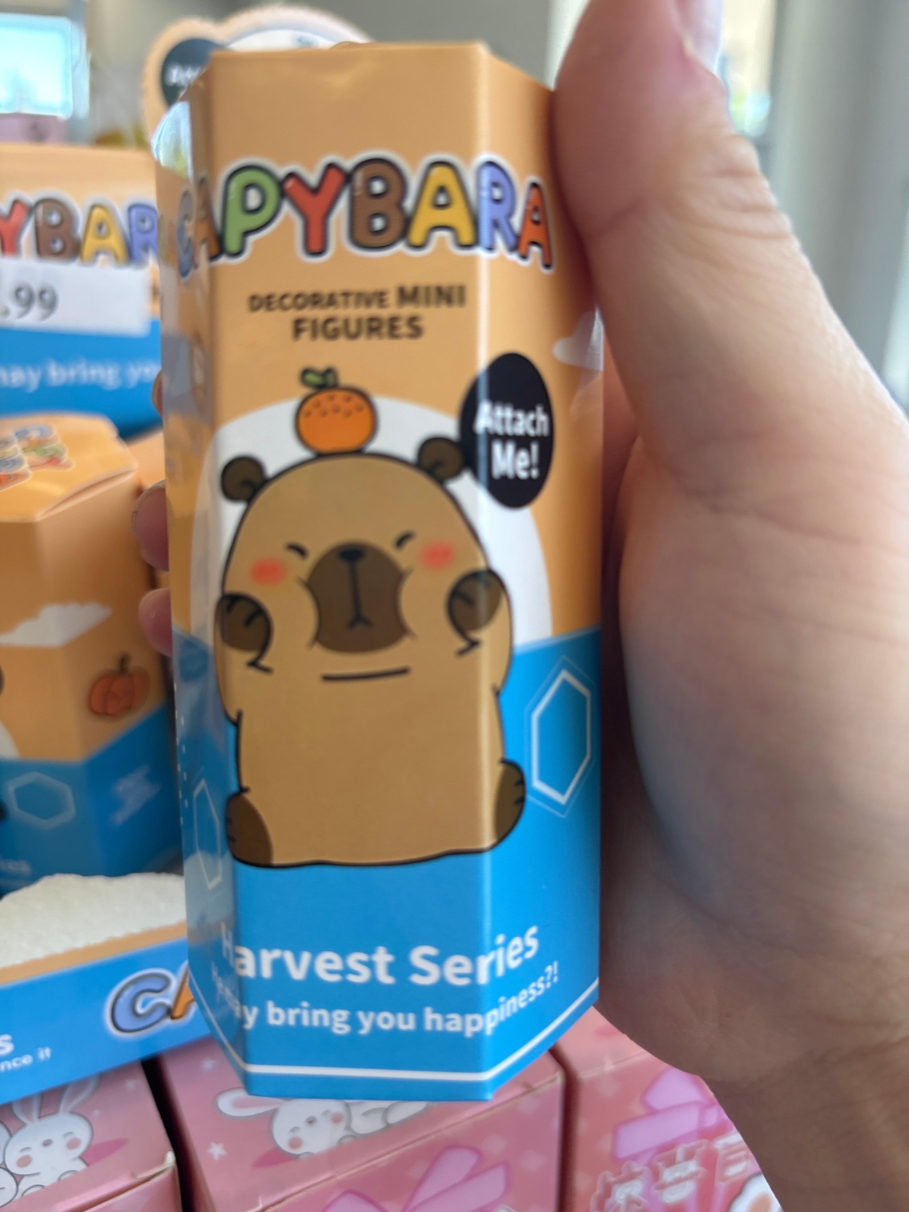Capybara blind box