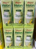 Melon Flavored Milk Drink 6 Pack