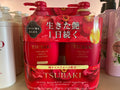 Tsubaki Premium Moist & Repair Shampoo and conditioner Set